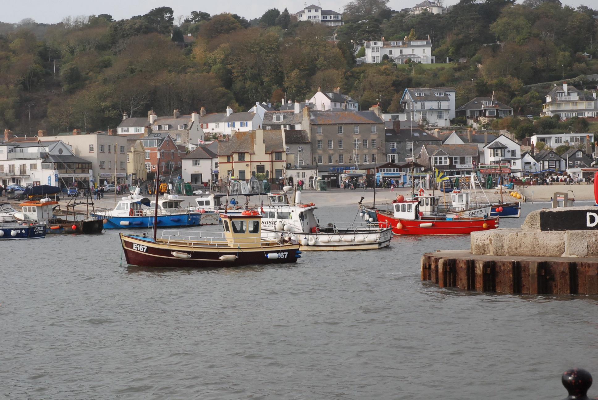 Lyme Regis Camping Best campsites in Lyme Regis, Dorset